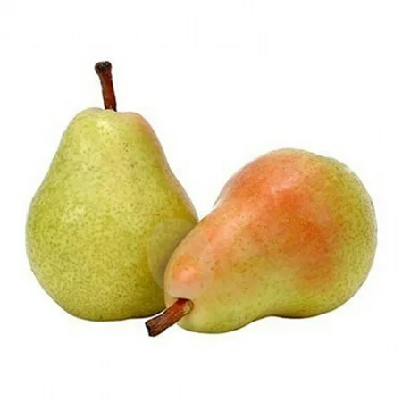 Fresh Pear Fruit