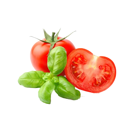Fresh Tomato
