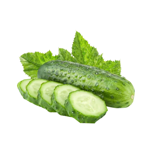 Fresh Cucumber